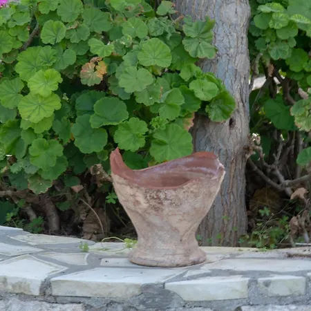 Villa Ips Pateo Pláka